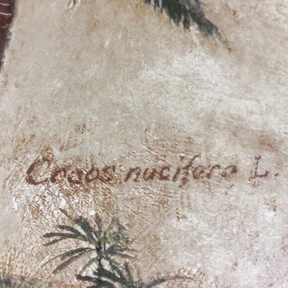 Whiteaker Palm Artwork By Betty Whiteaker "Phoenix Canariensis" - Picture 3 of 10